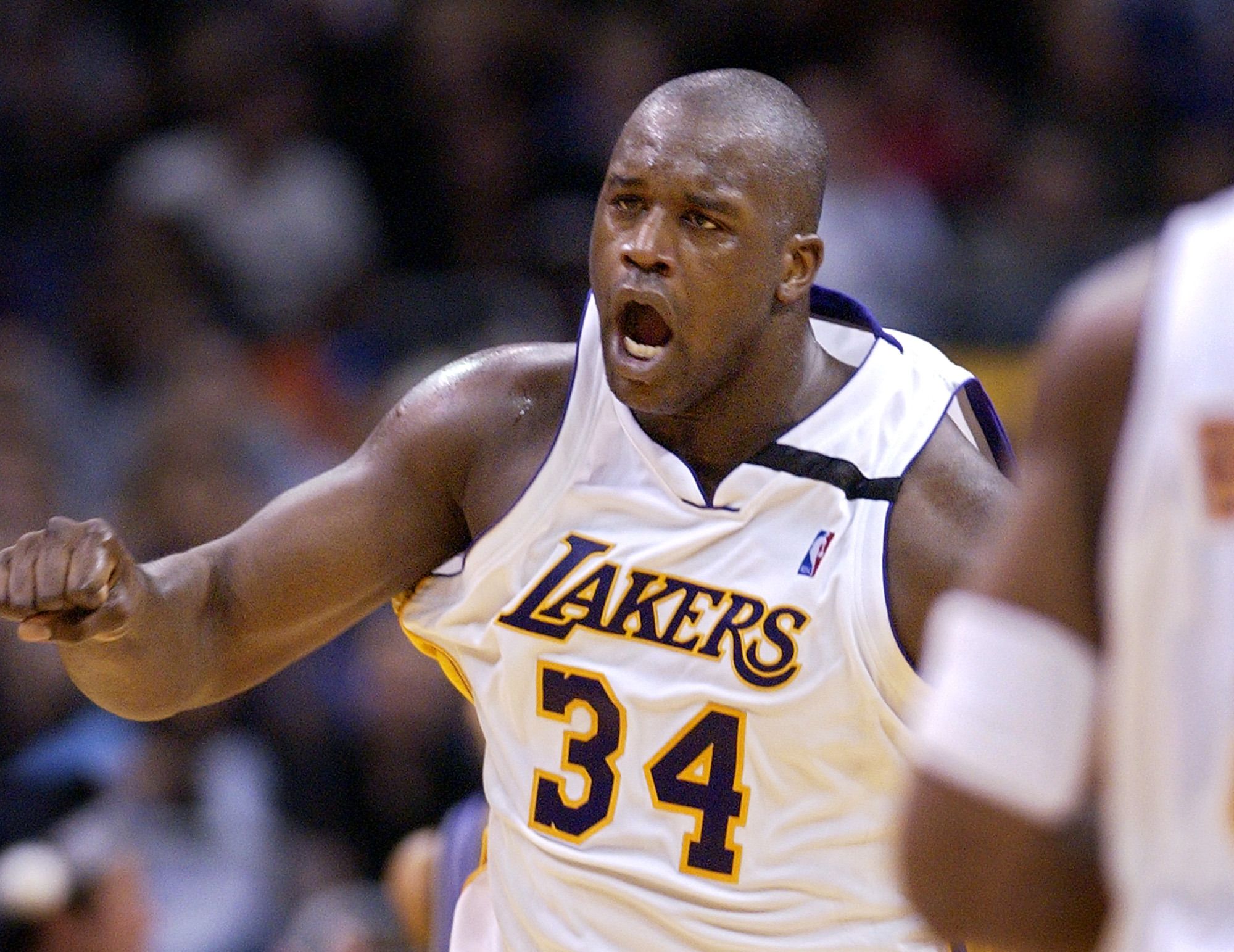 他的归来 他的归来